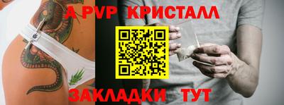 PSILOCYBIN Можга