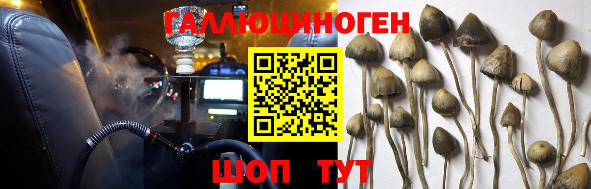 Галлюциногенные грибы Cubensis Туймазы
